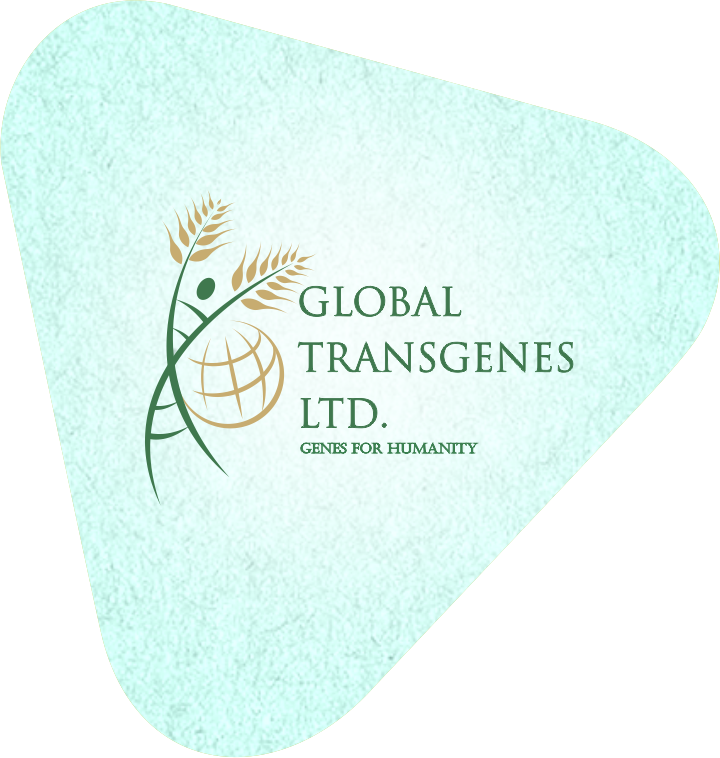Global Trans Ltd